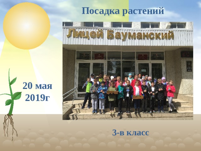 Посадка растений 20 мая 2019г 3-в класс  