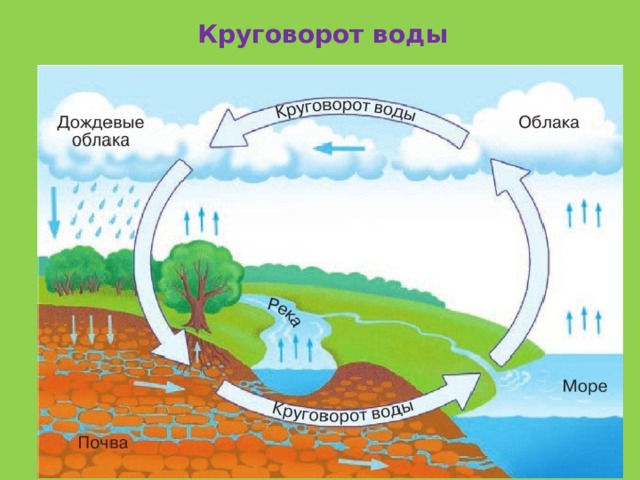 Круговорот воды 