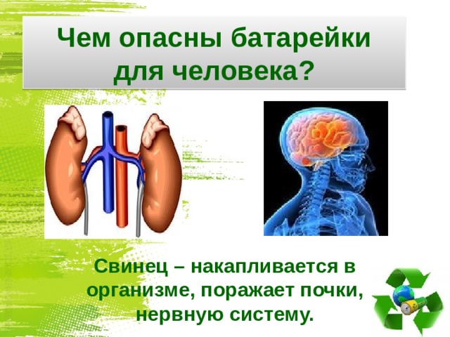Чем опасны батарейки для человека? Свинец – накапливается в организме, поражает почки, нервную систему.