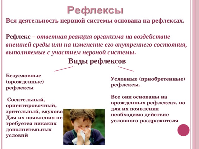 Вся деятельность нервной системы основана на рефлексах.  Рефлекс – ответная реакция организма на воздействие внешней среды или на изменение его внутреннего состояния, выполняемые с участием нервной системы . Виды  рефлексов Безусловные (врожденные) рефлексы   Сосательный, ориентировочный, зрительный, слуховой. Для их появления не требуется никаких дополнительных условий Условные (приобретенные) рефлексы. Все они основаны на врожденных рефлексах, но для их появления необходимо действие условного раздражителя 