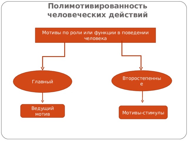 Полимотивированность человеческих действий Мотивы по роли или функции в поведении человека Главный Второстепенные Ведущий мотив Мотивы-стимулы 