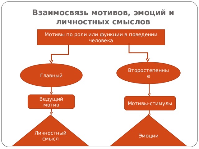 Взаимосвязь мотивов, эмоций и личностных смыслов Мотивы по роли или функции в поведении человека Второстепенные Главный Ведущий мотив Мотивы-стимулы Личностный смысл Эмоции 
