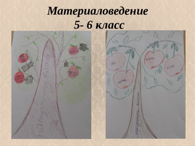 Материаловедение  5- 6 класс   