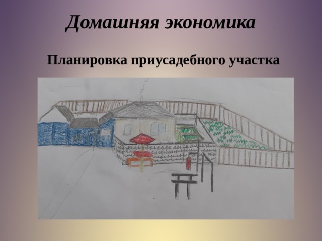 Домашняя экономика Планировка приусадебного участка  