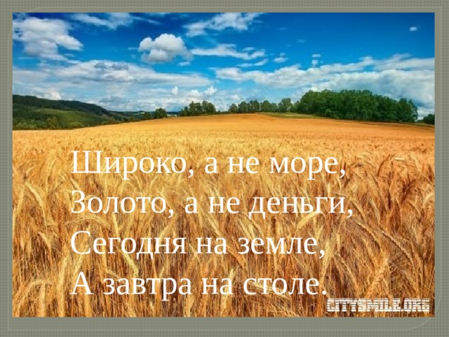 Широко, а не море,  Золото, а не деньги,  Сегодня на земле,  А завтра на столе.   
