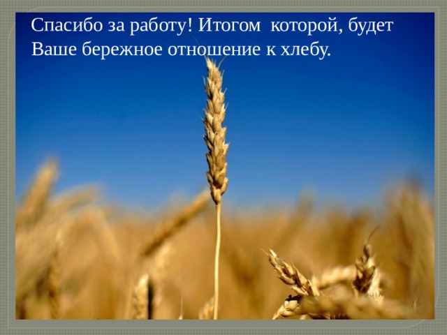 Спасибо за работу! Итогом которой, будет Ваше бережное отношение к хлебу. 