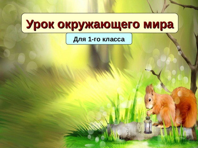 Урок окружающего мира Для 1-го класса 