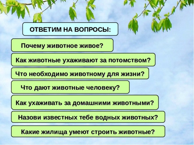 ОТВЕТИМ НА ВОПРОСЫ: Почему животное живое? Как животные ухаживают за потомством? Что необходимо животному для жизни? Что дают животные человеку? Как ухаживать за домашними животными? Назови известных тебе водных животных? Какие жилища умеют строить животные? 