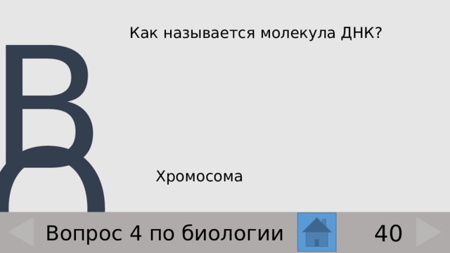 Как называется молекула ДНК?    Хромосома 40 Вопрос 4 по биологии 