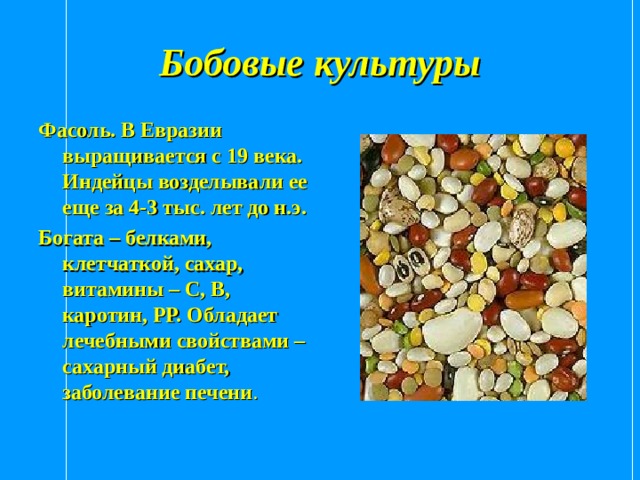 Бобовые культуры Фасоль. В Евразии выращивается с 19 века. Индейцы возделывали ее еще за 4-3 тыс. лет до н.э. Богата – белками, клетчаткой, сахар, витамины – С, В, каротин, РР. Обладает лечебными свойствами – сахарный диабет, заболевание печени . 