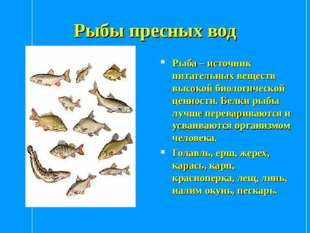 Рыбы пресных вод Рыба – источник питательных веществ высокой биологической ценности. Белки рыбы лучше перевариваются и усваиваются организмом человека. Голавль, ерш, жерех, карась, карп, красноперка, лещ, линь, налим окунь, пескарь. 