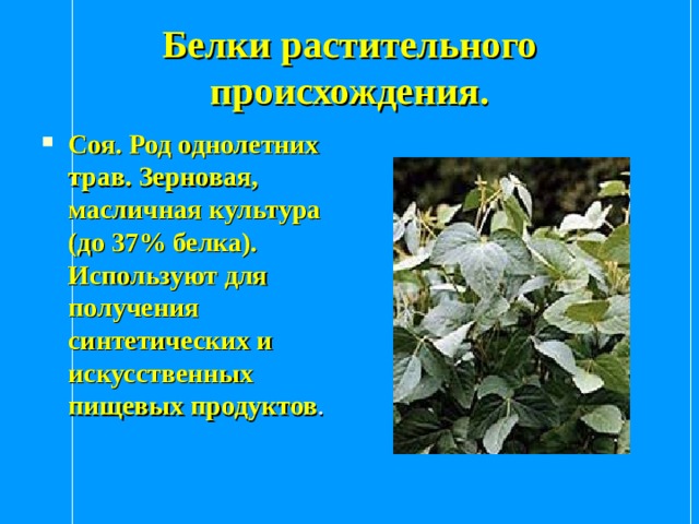 Белки растительного происхождения. Соя. Род однолетних трав. Зерновая, масличная культура (до 37% белка). Используют для получения синтетических и искусственных пищевых продуктов . 