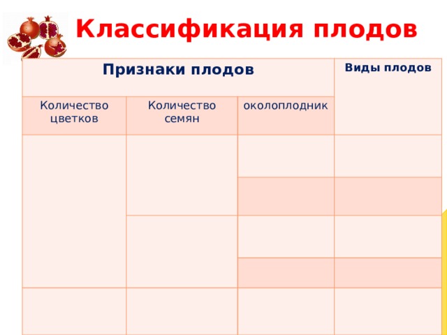 Классификация плодов Признаки плодов Количество цветков Количество семян Виды плодов околоплодник  