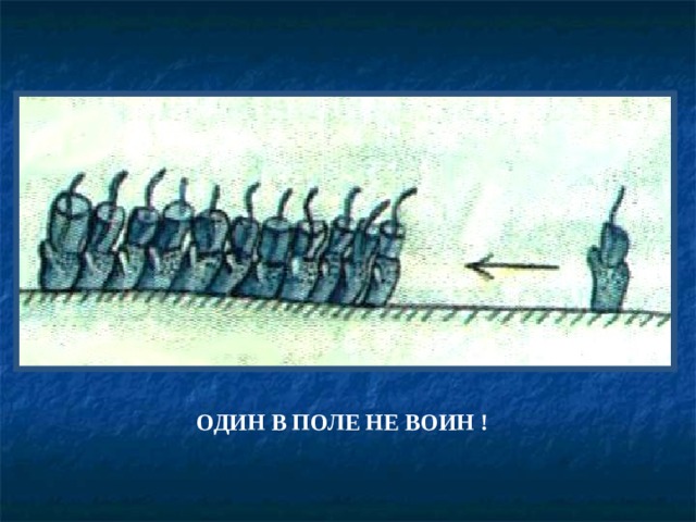 ОДИН В ПОЛЕ НЕ ВОИН ! 