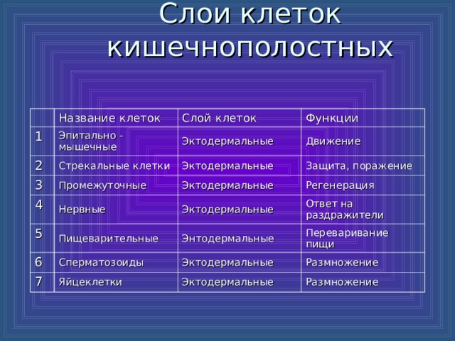 Слои клеток кишечнополостных 1 Название клеток Эпитально - мышечные Слой клеток 2 3 Функции Эктодермальные Стрекальные клетки Движение Промежуточные 4 Эктодермальные Защита, поражение Нервные 5 Эктодермальные Регенерация Пищеварительные 6 Эктодермальные 7 Сперматозоиды Энтодермальные Ответ на раздражители Переваривание пищи Яйцеклетки Эктодермальные Размножение Эктодермальные Размножение 