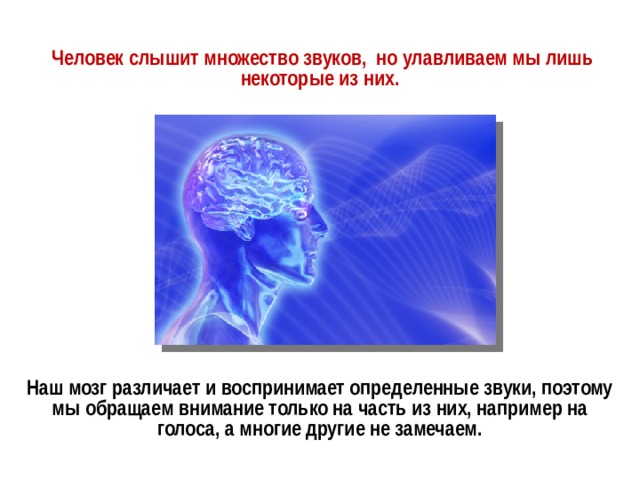Человек слышит множество звуков, но улавливаем мы лишь некоторые из них. Наш мозг различает и воспринимает определенные звуки, поэтому мы обращаем внимание только на часть из них, например на голоса, а многие другие не замечаем. 