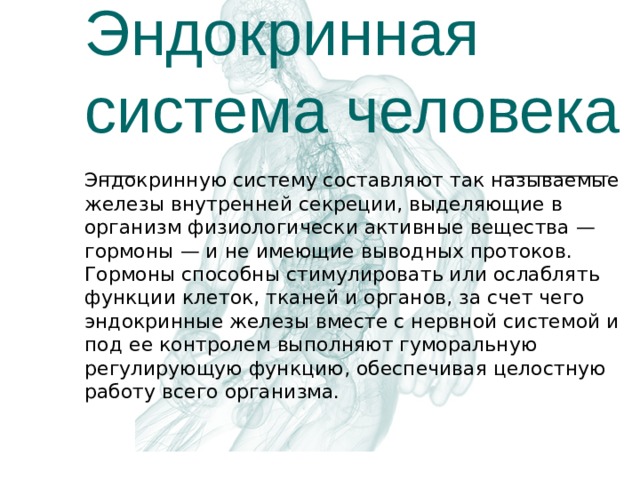 Эндокринная система человека Эндокринную систему составляют так называемые железы внутренней секреции, выделяющие в организм физиологически активные вещества — гормоны — и не имеющие выводных протоков. Гормоны способны стимулировать или ослаблять функции клеток, тканей и органов, за счет чего эндокринные железы вместе с нервной системой и под ее контролем выполняют гуморальную регулирующую функцию, обеспечивая целостную работу всего организма. 