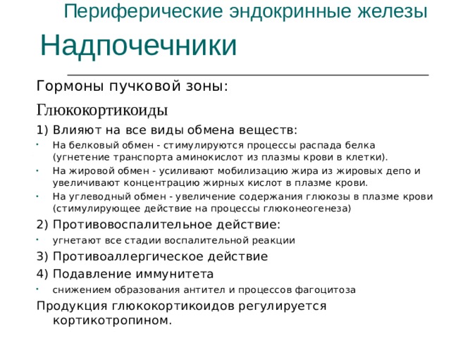 Периферические эндокринные железы Надпочечники Гормоны пучковой зоны: Глюкокортикоиды 1) Влияют на все виды обмена веществ: На белковый обмен - стимулируются процессы распада белка (угнетение транспорта аминокислот из плазмы крови в клетки). На жировой обмен - усиливают мобилизацию жира из жировых депо и увеличивают концентрацию жирных кислот в плазме крови. На углеводный обмен - увеличение содержания глюкозы в плазме крови (стимулирующее действие на процессы глюконеогенеза) 2) Противовоспалительное действие: угнетают все стадии воспалительной реакции 3) Противоаллергическое действие 4) Подавление иммунитета снижением образования антител и процессов фагоцитоза Продукция глюкокортикоидов регулируется кортикотропином. 