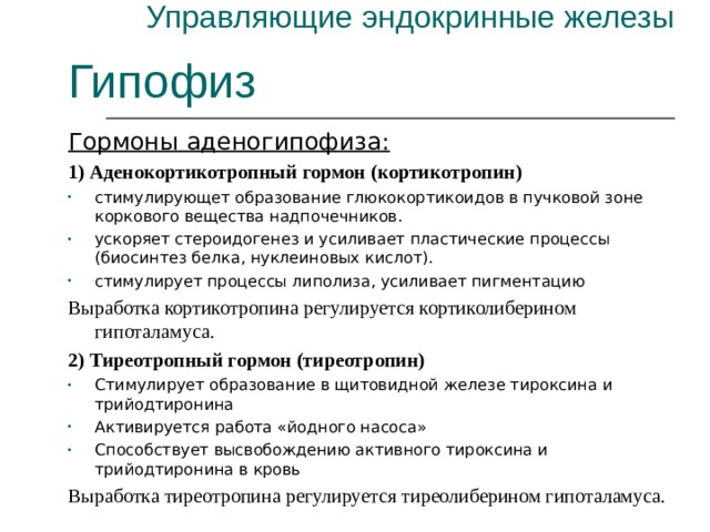 Управляющие эндокринные железы Гипофиз Гормоны аденогипофиза: 1) Аденокортикотропный гормон (кортикотропин) стимулирующет образование глюкокортикоидов в пучковой зоне коркового вещества надпочечников. ускоряет стероидогенез и усиливает пластические процессы (биосинтез белка, нуклеиновых кислот). стимулирует процессы липолиза, усиливает пигментацию Выработка кортикотропина регулируется кортиколиберином гипоталамуса. 2) Тиреотропный гормон (тиреотропин) Стимулирует образование в щитовидной железе тироксина и трийодтиронина Активируется работа «йодного насоса» Способствует высвобождению активного тироксина и трийодтиронина в кровь Выработка тиреотропина регулируется тиреолиберином гипоталамуса. 