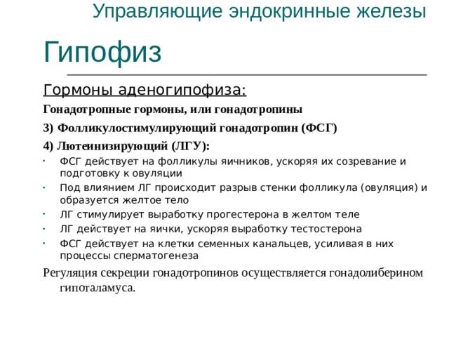 Управляющие эндокринные железы Гипофиз Гормоны аденогипофиза: Гонадотропные гормоны, или гонадотропины 3)  Фолликулостимулирующий гонадотропин (ФСГ) 4) Лютеинизирующий (ЛГУ): ФСГ действует на фолликулы яичников, ускоряя их созревание и подготовку к овуляции Под влиянием ЛГ происходит разрыв стенки фолликула (овуляция) и образуется желтое тело ЛГ стимулирует выработку прогестерона в желтом теле ЛГ действует на яички, ускоряя выработку тестостерона ФСГ действует на клетки семенных канальцев, усиливая в них процессы сперматогенеза Регуляция секреции гонадотропинов осуществляется гонадолиберином гипоталамуса. 