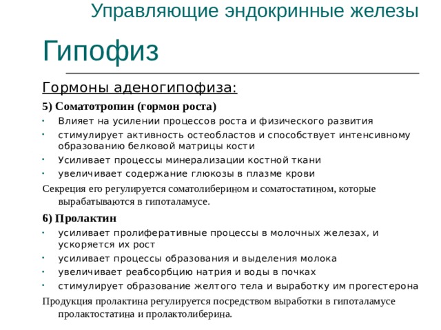 Управляющие эндокринные железы Гипофиз Гормоны аденогипофиза: 5) Соматотропин (гормон роста) Влияет на усилении процессов роста и физического развития стимулирует активность остеобластов и способствует интенсивному образованию белковой матрицы кости Усиливает процессы минерализации костной ткани увеличивает содержание глюкозы в плазме крови Секреция его регулируется соматолиберином и соматостатином, которые вырабатываются в гипоталамусе. 6) Пролактин усиливает пролиферативные процессы в молочных железах, и ускоряется их рост усиливает процессы образования и выделения молока увеличивает реабсорбцию натрия и воды в почках стимулирует образование желтого тела и выработку им прогестерона Продукция пролактина регулируется посредством выработки в гипоталамусе пролактостатина и пролактолиберина.   