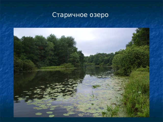 Старичное озеро 