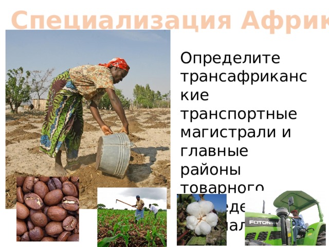 6. Специализация Африки Определите трансафриканские транспортные магистрали и главные районы товарного земледелия, их специализацию 