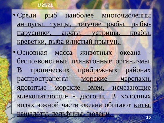 1/29/21 7. Органический мир Органический мир Индийского океана имеет много общего с органическим миром Тихого и Атлантического океанов в соответствующих широтах. На мелководьях жарких поясов распространены коралловые полипы, соз­дающие многочисленные рифовые постройки, в том числе острова.  