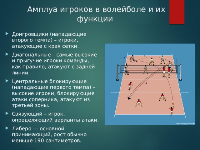 Амплуа игроков в волейболе и их функции    Доигровщики (нападающие второго темпа) – игроки, атакующие с края сетки. Диагональные – самые высокие и прыгучие игроки команды, как правило, атакуют с задней линии. Центральные блокирующие (нападающие первого темпа) – высокие игроки, блокирующие атаки соперника, атакуют из третьей зоны. Связующий – игрок, определяющий варианты атаки. Либеро — основной принимающий, рост обычно меньше 190 сантиметров.  