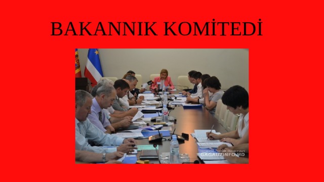  BAKANNIK KOMİTEDİ 