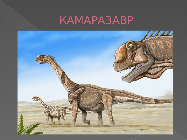  КАМАРАЗАВР 