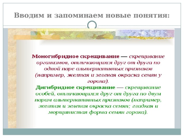 Вводим и запоминаем новые понятия: 