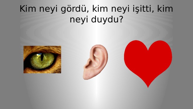 Kim neyi gördü, kim neyi işitti, kim neyi duydu? 