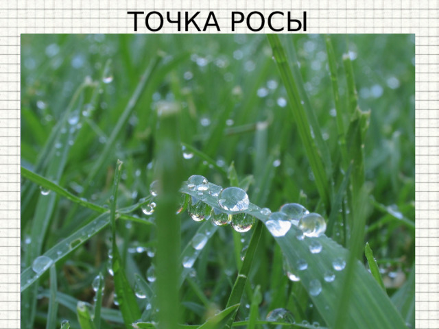 ТОЧКА РОСЫ Если влажный воздух охлаждать , то находящийся в нем пар можно  довести до насыщения , и далее он будет  конденсироваться . Признаком того, что пар насытился является появление первых капель сконденсировавшейся жидкости - росы . 