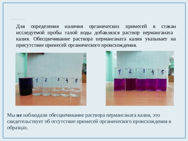             Наличие органических загрязнителей в снеге. Для определения наличия органических примесей в стакан исследуемой пробы талой воды добавлялся раствор перманганата калия. Обесцвечивание раствора перманганата калия указывает на присутствие примесей органического происхождения. Мы не наблюдали обесцвечивание раствора перманганата калия, это свидетельствует об отсутствие примесей органического происхождения в образцах. 