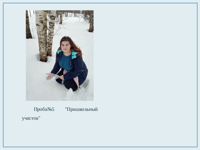 Проба№5 