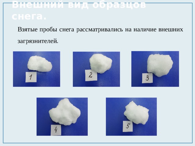 Внешний вид образцов снега. Взятые пробы снега рассматривались на наличие внешних загрязнителей. 