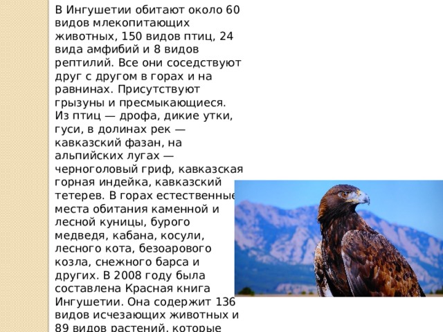 В Ингушетии обитают около 60 видов млекопитающих животных, 150 видов птиц, 24 вида амфибий и 8 видов рептилий. Все они соседствуют друг с другом в горах и на равнинах. Присутствуют грызуны и пресмыкающиеся. Из птиц — дрофа, дикие утки, гуси, в долинах рек — кавказский фазан, на альпийских лугах — черноголовый гриф, кавказская горная индейка, кавказский тетерев. В горах естественные места обитания каменной и лесной куницы, бурого медведя, кабана, косули, лесного кота, безоарового козла, снежного барса и других. В 2008 году была составлена Красная книга Ингушетии. Она содержит 136 видов исчезающих животных и 89 видов растений, которые находятся под охраной. 