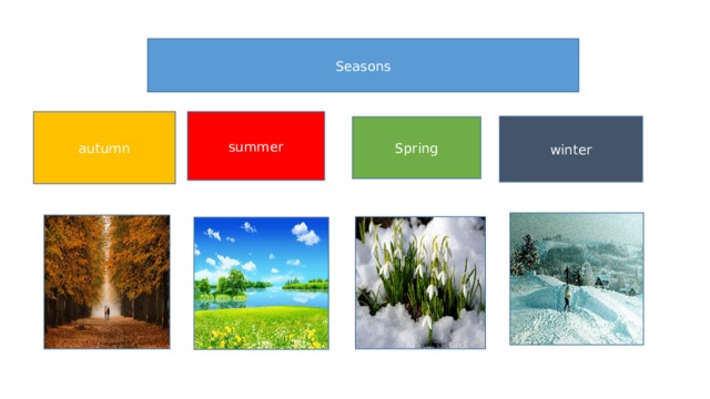 Seasons summer autumn winter Spring 