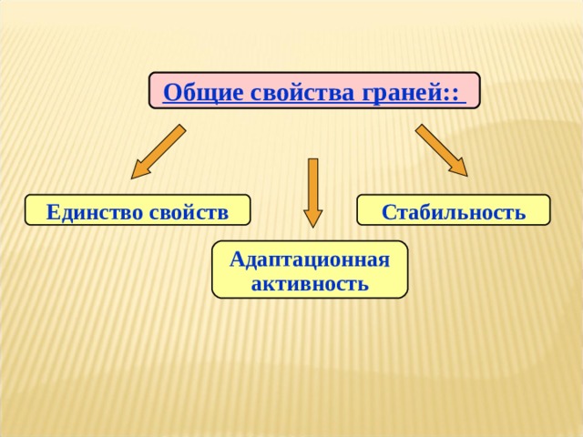 Общие свойства граней:: Единство свойств Стабильность Адаптационная активность 