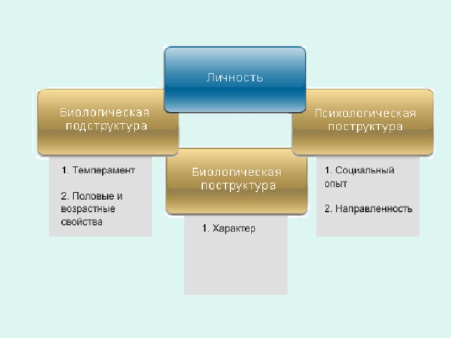 Личность — результат процесса воспитания и самовоспитания. «Личностью не рождаются, а становятся» А. Н. Леонтьев. Атрибуты личности   * Воля  * Свобода  * Разум  Комплекс устойчивых компонентов личности   * Темперамент  * Характер  * Способности  * Мотивация 