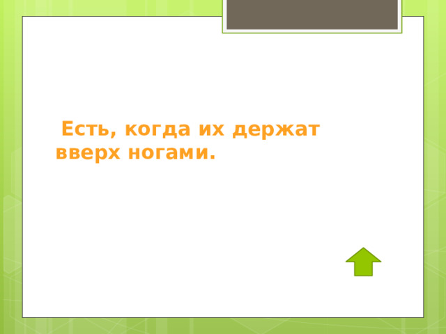  Есть, когда их держат вверх ногами. 