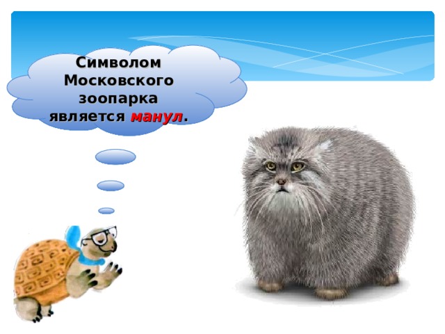 Символом Московского зоопарка является манул . 