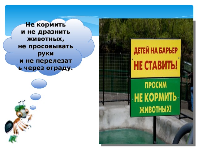 Не кормить и не дразнить животных, не просовывать руки и не перелезать через ограду. 