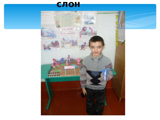 слон 
