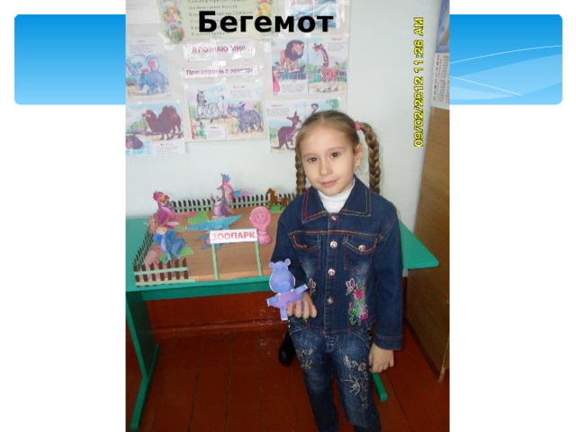 Бегемот 