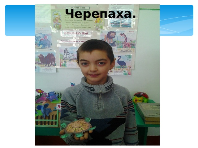 Черепаха. 