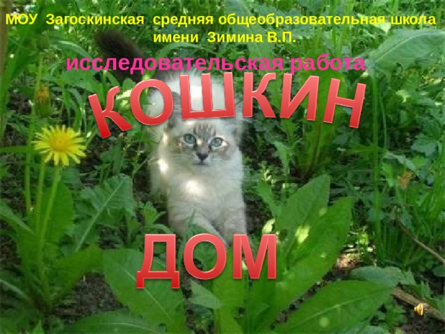 МОУ Загоскинская средняя общеобразовательная школа имени Зимина В.П. МОУ Загоскинская средняя школа общеобразовательная школа имени Зимина В.П.  исследовательская работа   Исследовательская работа   Выполнила: ученица 4 класса Никитина Екатерина  Руководитель: Головачёва Любовь Алексеевна 