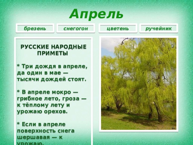 Апрель ручейник брезень цветень снегогон  РУССКИЕ НАРОДНЫЕ ПРИМЕТЫ   * Три дождя в апреле, да один в мае — тысячи дождей стоят.  * В апреле мокро — грибное лето, гроза — к тёплому лету и урожаю орехов.  * Если в апреле поверхность снега шершавая — к урожаю.  