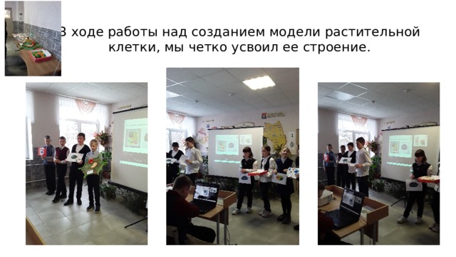 В ходе работы над созданием модели растительной клетки, мы четко усвоил ее строение. 